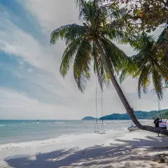 Huśtawka pod palmą na plaży, idealne miejsce na relaks wśród atrakcji Phu Quoc. W tle morze i góry.