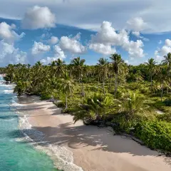 Rajska plaża z palmami i turkusową wodą, idealne miejsce na wakacje w Dominikana Punta Cana.