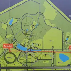 Mapa Parku Śląskiego w Katowicach. Zaznaczono tu Planetarium, Zoo, Rosarium, Skansen, Stadion Śląski i wiele innych atrakcji.