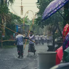 Ulewny deszcz na Bali podczas pory deszczowej. Mężczyźni w tradycyjnych sarongach niosą drewniane tyczki, a widzowie chronią się pod kolorowymi parasolami.