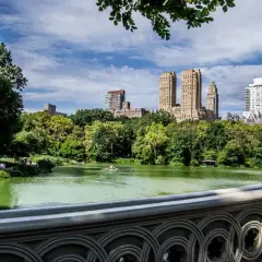 Central Park w Nowym Jorku. Jezioro z łódką, otoczone zielenią, z wieżowcami w tle.