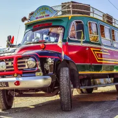 Tradycyjny autobus na Cyprze, kolorowy pojazd z napisem "Traditional Bus Cyprus" i numerem telefonu, stanowi unikatowy element komunikacji miejskiej.