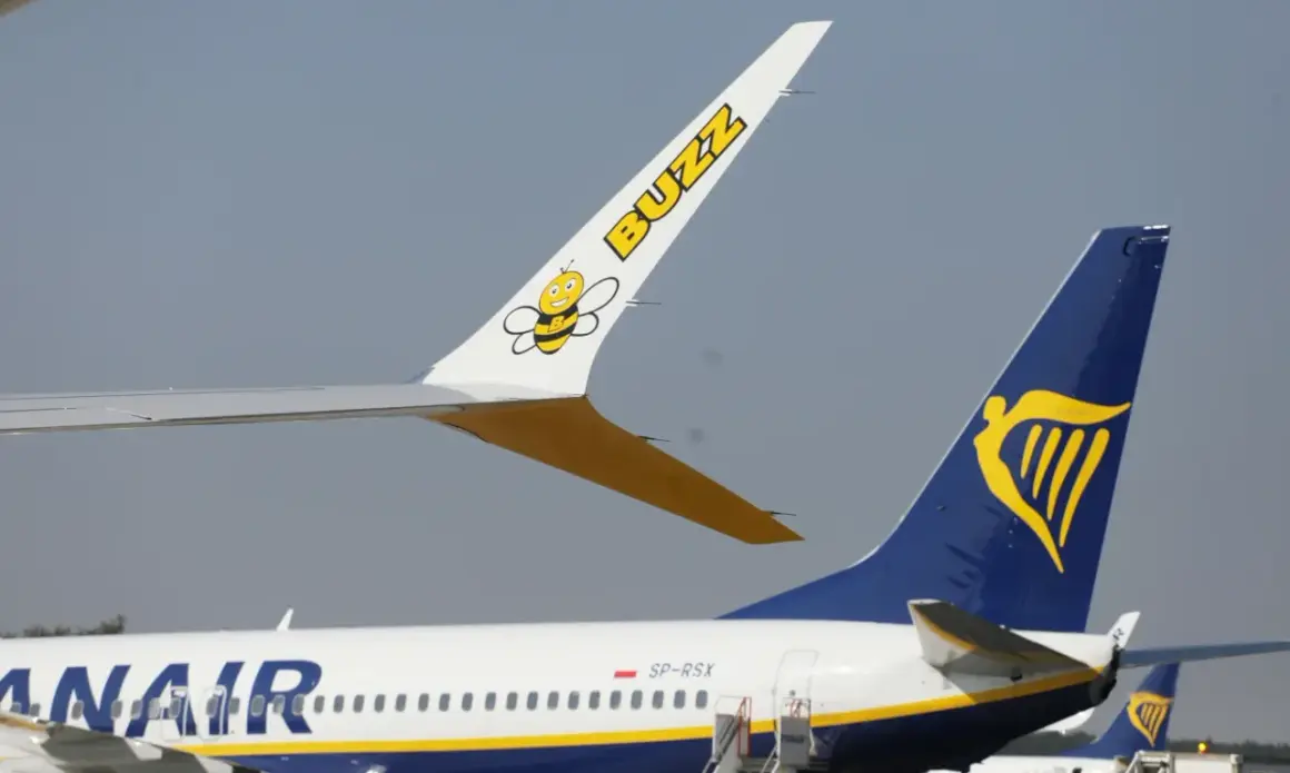 Dwa samoloty na płycie lotniska: jeden z logo Buzz i pszczółką, drugi z logo Ryanair. Czy to lot czarterowy a rejsowy?