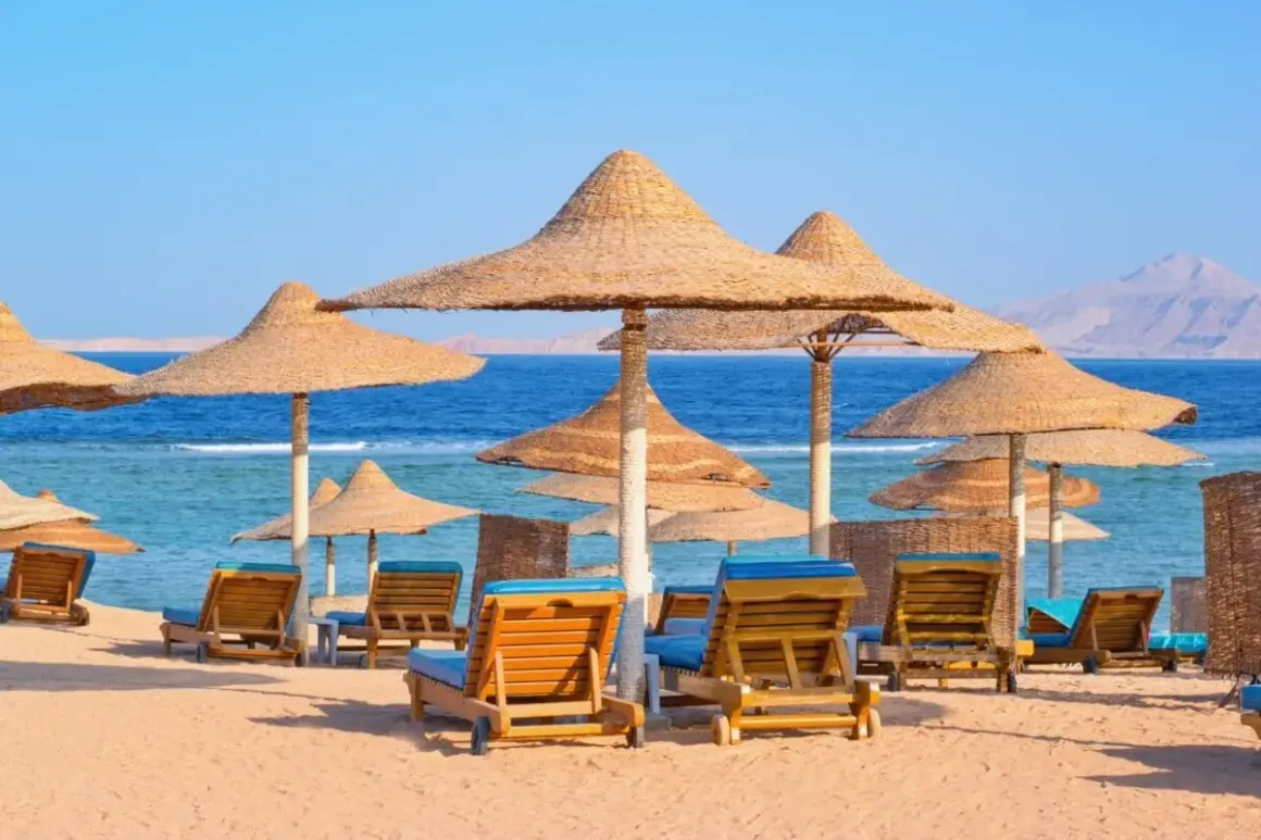 Plaża z leżakami i parasolami, idealne miejsce na tanie kierunki na wakacje. Błękitne morze i góry w tle.