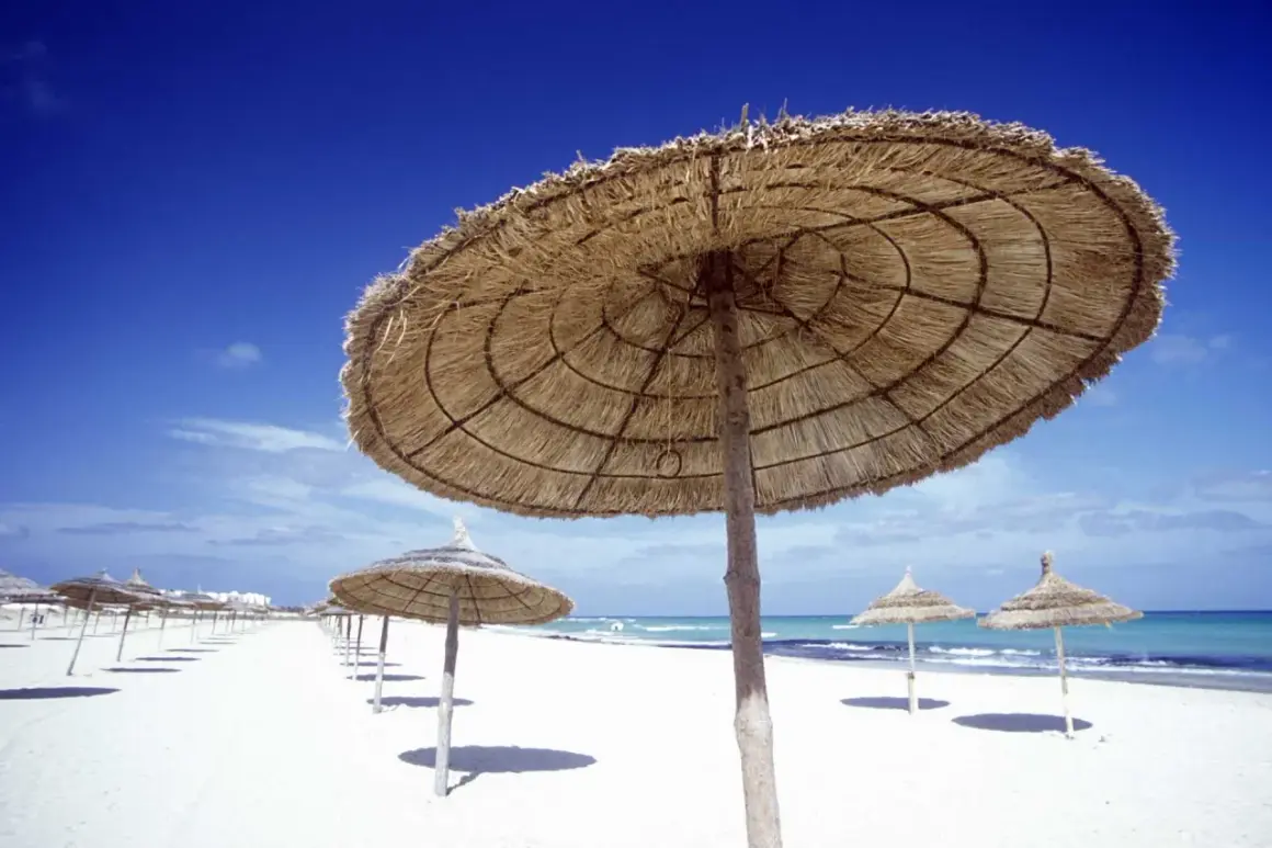 Słomiane parasole na pustej plaży w Tunezji. Nawet w lutym temperatura sprzyja relaksowi.