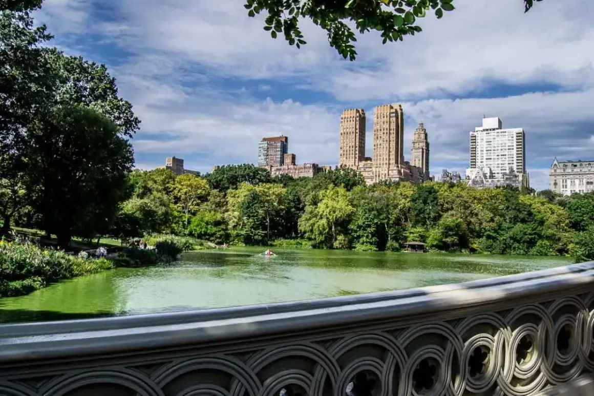 Central Park w Nowym Jorku. Jezioro z łódką, otoczone zielenią, z wieżowcami w tle.